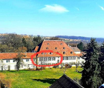 Stilvolle, schöne 2-Raum-Wohnung im Schloss Heinsheim