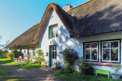 Idyllisches Landleben zwischen Vollerwiek und St.Peter-Ording