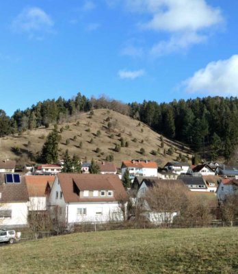 Stilvolle 2-Raum-EG-Wohnung mit gehobener Innenausstattung mit Einbauküche in Rottweil