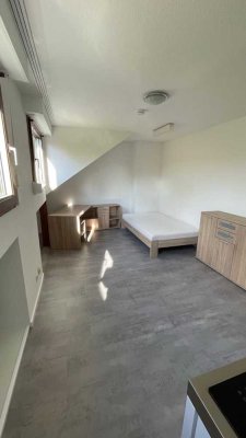 Möbliertes 1-Zimmer-DG-Appartment am Palastgarten
