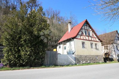 Historisches Haus in Laibach zu verkaufen