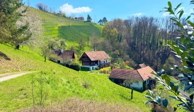Historisches Anwesen in Kitzeck