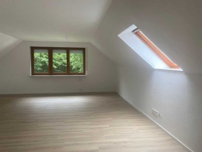 Sanierte 3-Zimmer Wohnung mit großem Balkon in Altenlingen