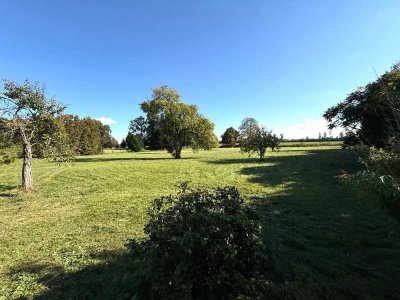 Großflächiges dörfliches Anwesen mit historischen Gebäuden