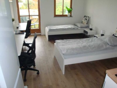 Neu renovierte möblierte 1-Zi.-Wohnung, Balkon, Einbauküche, Laminat, Wfl.ca. 24 m²