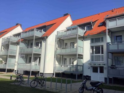 Frisch sanierte 3-Zimmer-Wohnung im EG in Woltmershausen