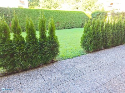 Erstbezug nach Renovierung - 3-ZI-Terrassen-Wohnung in angenehmer Stadtlage