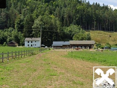 Wohnen, Natur &amp; Freiraum vereint! Zweifamilienhaus mit Nebengebäuden, Landwirtschafts‑ und Forstflächen