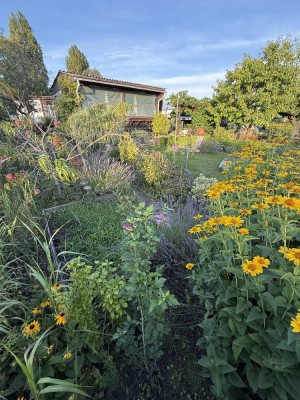 Erholungsgarten P41 mit Bungalow Nähe Glindowsee (Werder-Havel)