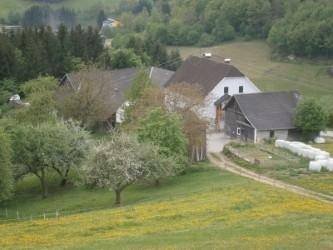 Landliebe - größeres Sacherl in idyllischer Alleinlage