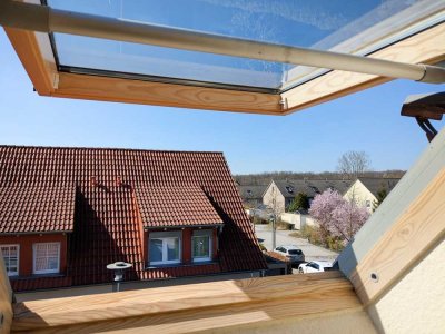 Mit Kamin und ausgebautem Studio. Sofort einziehen und los wohnen in Halle / Heide-Süd