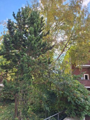 3-ZW, Düsternbrook, Südbalkon, Parkett, nh. Forstbaumschule