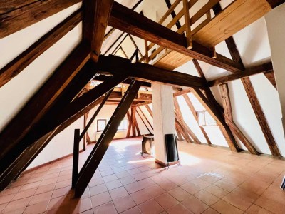 Wohnen im echten Schloss 3-Zimmer-Dachgeschosswohnung frisch Renoviert