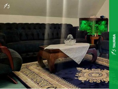 +++Gemütliche 2-Zimmer-Etagenwohnung (ca. 53 m²) im Dachgeschoss+++