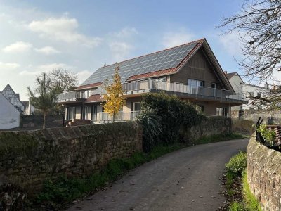Wohnen im Park 2,5-Zimmer Maisonettwohnung mit luxuriöser Ausstattung mit Balkon in Eisenberg