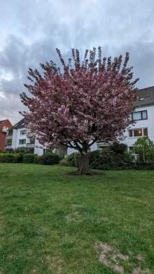 Lichtdurchflutet & Stadtnah: Attraktive 4-Zimmer-Wohnung in Bremen-Findorff