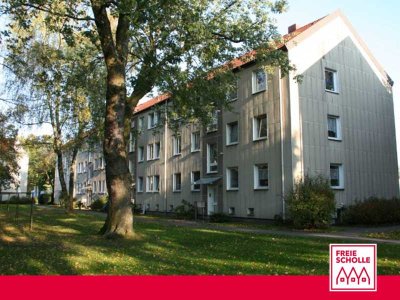 Günstig - 3-Zimmer-Wohnung  - "Freie Scholle eG"