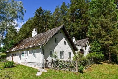 Obj.Nr. 8218, Häuslern / Groß Gerungs Nähe 3,8 Kilometer, Waldviertler Lebensglück: Historischer Dreiseithof mit großem Garten &amp; eigener Quelle
