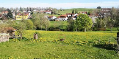 Großes, möbliertes WG- Zimmer mit Terrasse!