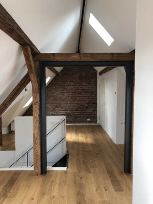 Traumhaftes Architekten-Penthouse mit großer Dachterrasse