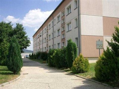 3-Zi.-Wohnung mit Südbalkon am Ortsrand