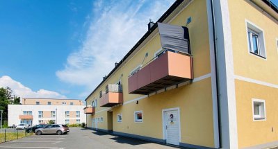 Im Zentrum 2/2
