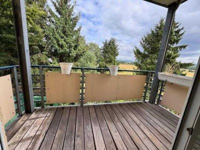 Helle freundliche renovierte 3-Zi-Wohnung mit Balkon