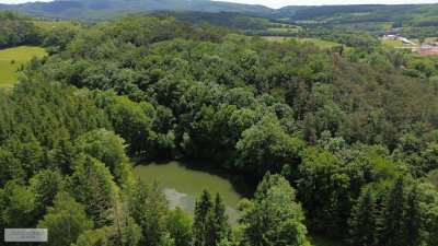 PRIVATE RETREAT NUR 30 MINUTEN VON DER OPER /// MIT EIGENEM PARK, WALD UND BADESEE