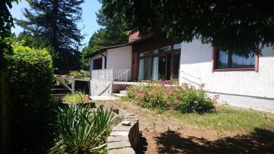 Lichtdurchflutetes Haus in ruhiger Waldrand-Lage