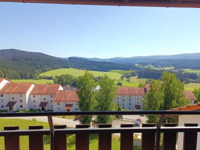 Neu renovierte helle 2-Zimmer Wohnung mit Balkon im 4. OG in Regen