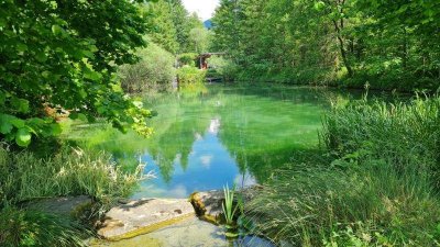 Zwei Zimmerwohnung, zwei Garagen und eine besondere Parklandschaft!