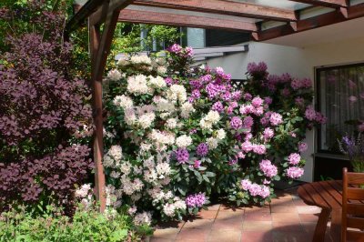 Geräumiges Einfamilienhaus mit Garten in Ziegetsdorf