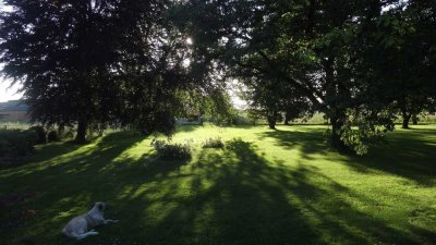 Ein Zuhause zum Verlieben – mit Gartenparadies