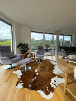 3 + Zimmer Penthouse