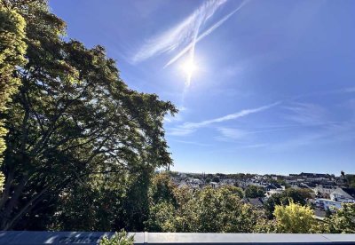 Penthouse in den Baumwipfeln mit Blick über Wiesbaden