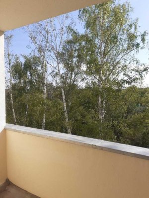 Helle 2-Raum-Wohnung mit Balkon in gepflegter Wohnanlage!