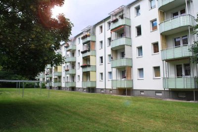 Ab in neue Zuhause nach Gohlis