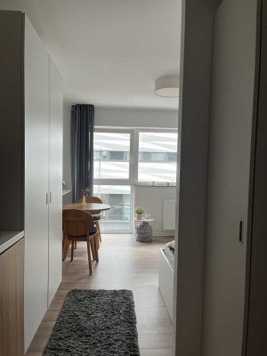 Untermiete: schöne 1-Zimmer-Wohnung mit EBK in Heidelberg - voll möbliert