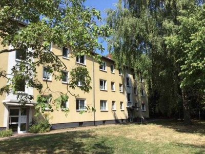 Miet mich - 3-Zimmer-Wohnung in guter Wohnlage sucht neue Mieter