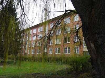 Gemütliche 2-Zimmer-Wohnung