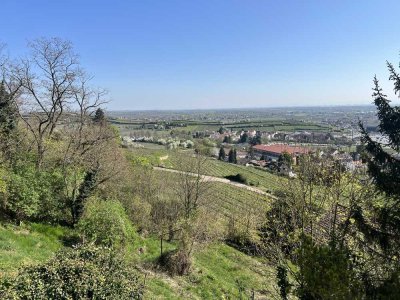 Moderner möblierter Bungalow auf großem Gartengrundstück mit herrlichem Blick über die Rheinebene