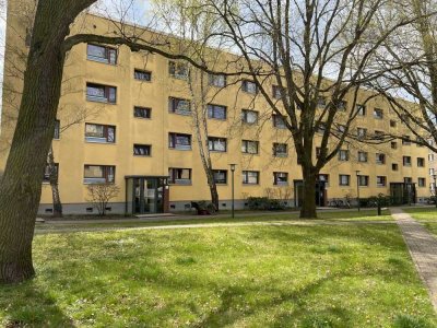 Vermietete 4 Zimmer Wohnung im Dachgeschoss - am Volkspark Potsdam