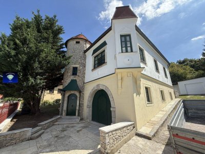 Einmalige Gelegenheit-1256