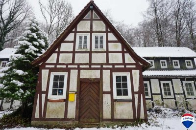 Ehemalige Waldherberge in Hessisch Oldendorf!
393 m² Wohn- & Nutzfläche | 4.500 m² Grundstücksfläch