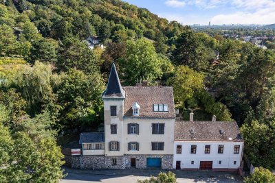 Rohdiamant mit Schlosscharakter beim Bisamberg