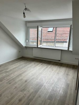 Gepflegtes 1 - Zimmerapartment mit Single - Küche