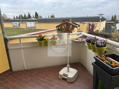Kapitalanlage in Zwickau – Gepflegte 2-Zimmer-Eigentumswohnung mit Entwicklungspotenzial