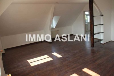 3-Raum Wohnung stylische Wohnung mit Charme und Stadtparkblick in Limbach-Oberfrohna