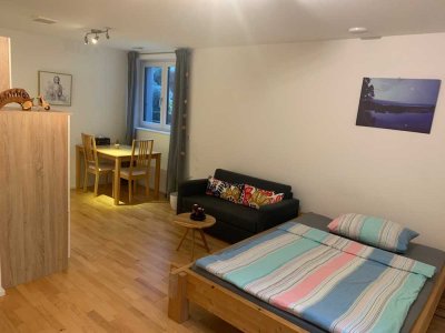 Exklusive, gepflegte 1,5-Raum-Souterrain-Wohnung in Konstanz