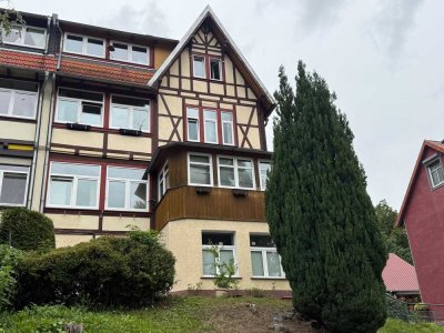 2-Zimmer-Wohnung im Dachgeschoss mit Blick ins Ilsetal!